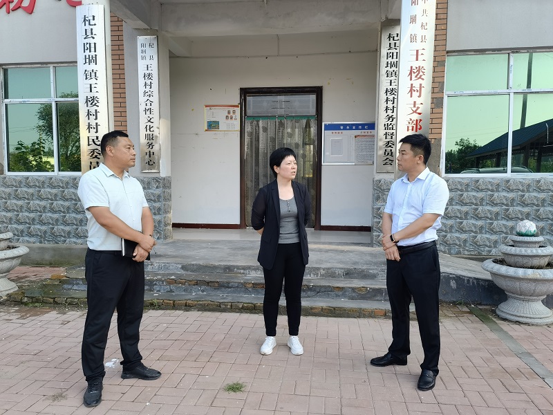 杞县县委副书记陈嘉慧深入阳堌镇调研乡村振兴建设等多项工作