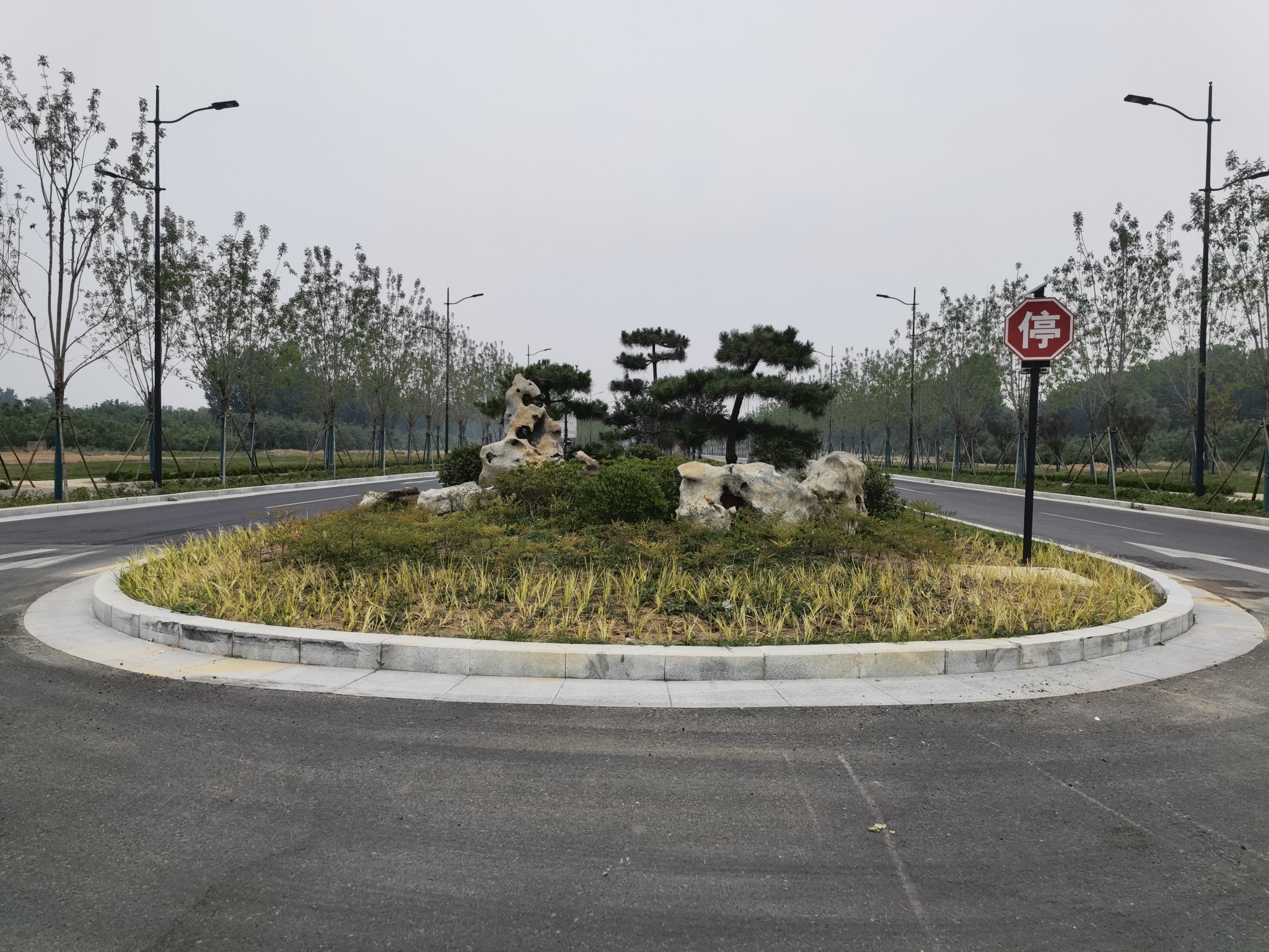 郑州最美沿黄道路景观亮相快去打卡吧