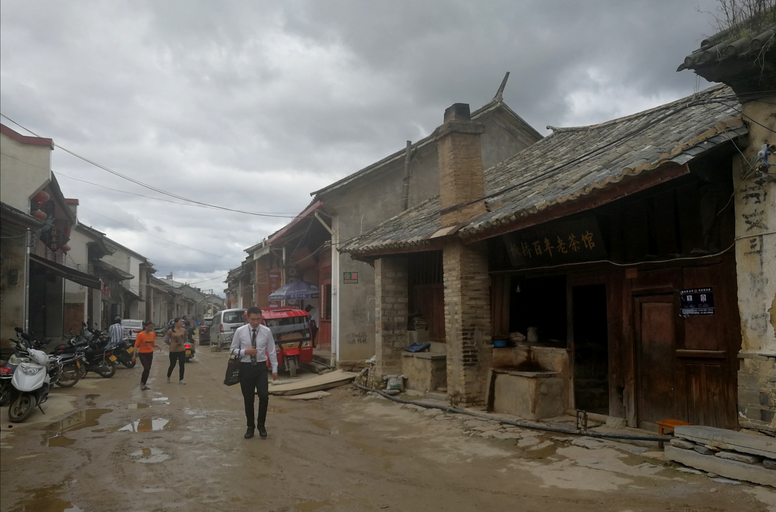 『文化』逮个活的！百年“老茶”现身，为啥遭群友围堵？