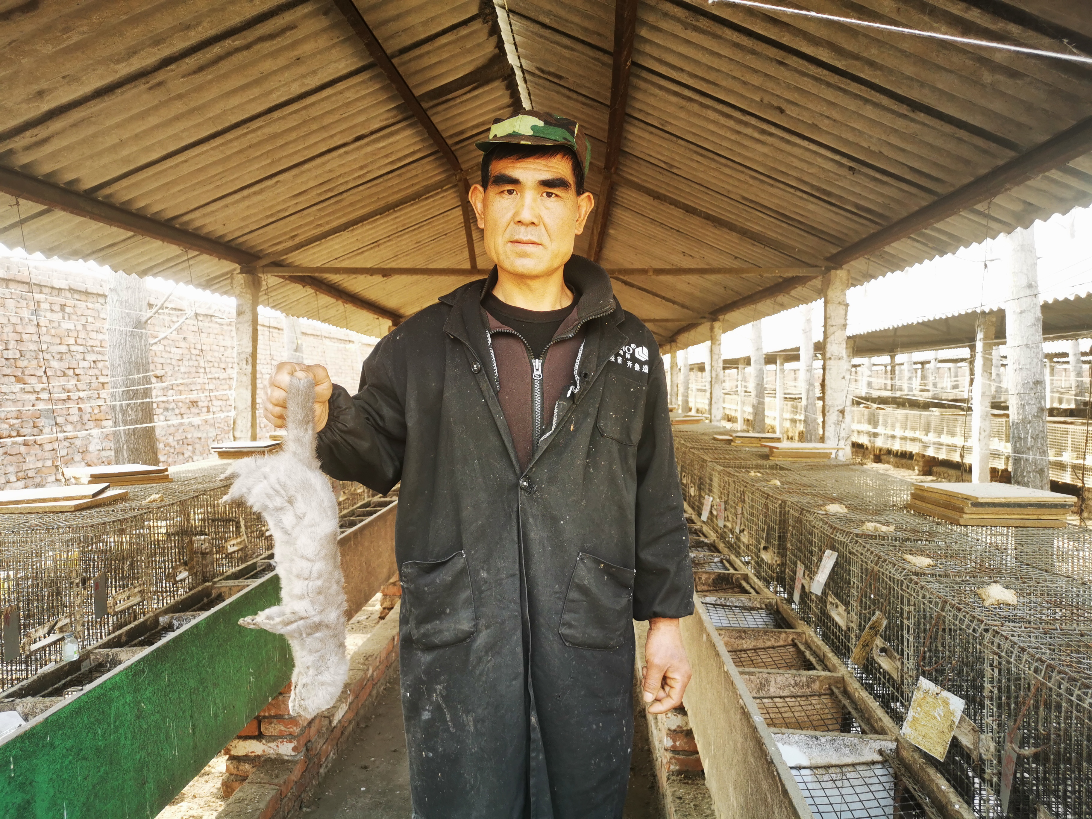 【水貂】蹊跷！近千只水貂意外死亡，鸭架是“元凶”？