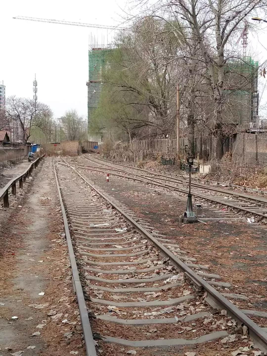 產品運出去,沿著隴海鐵路大動脈源源不斷地運往全國,為三門峽經濟社會