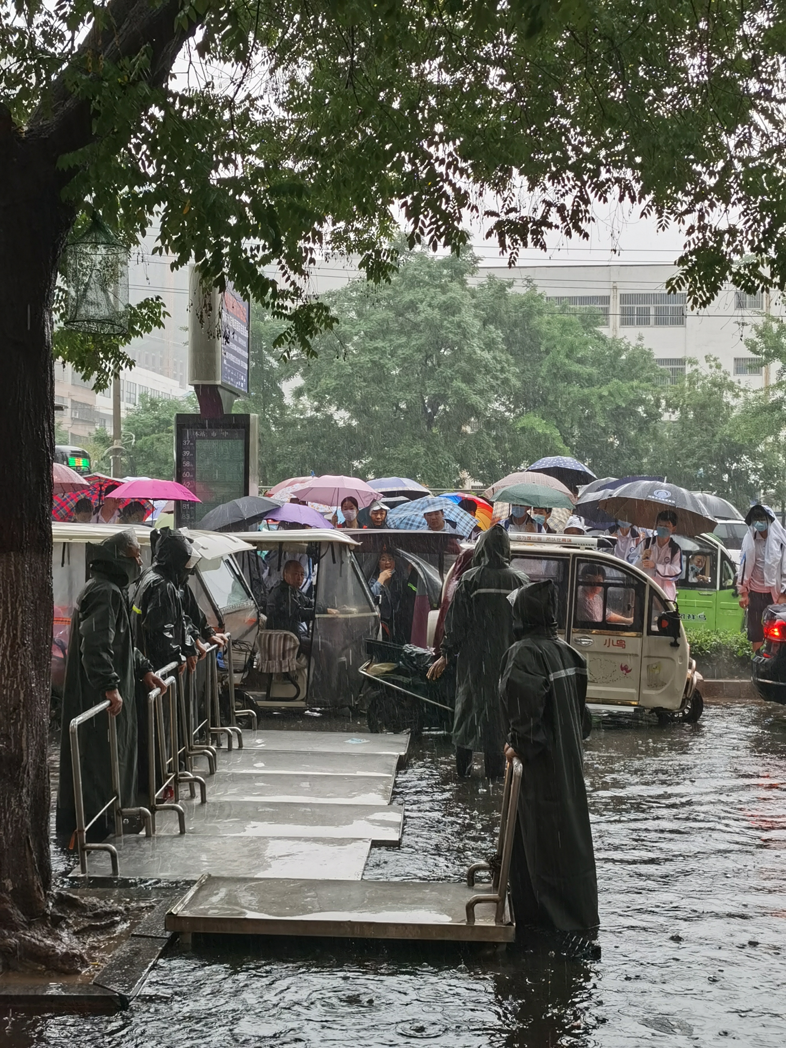 河南商丘河南商丘：老师大雨中背着学生进校园！学生偷偷“表白”……
