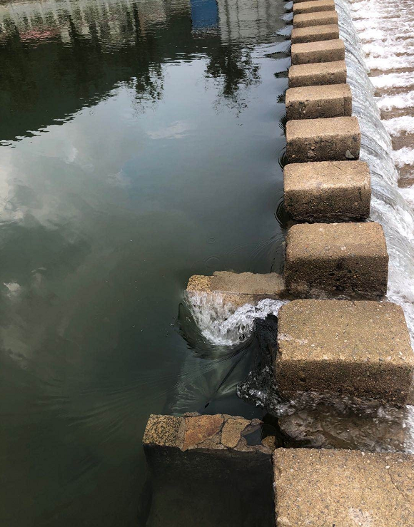 社会万象|信阳女子在景区被卷入漩涡溺亡 当地安全监管部门回应