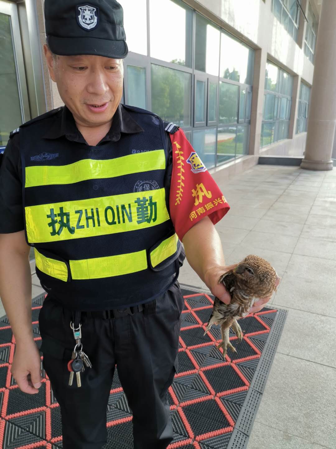 动物|“萌宝宝”闯入舞阳县公安局，竟是国家二级保护动物!