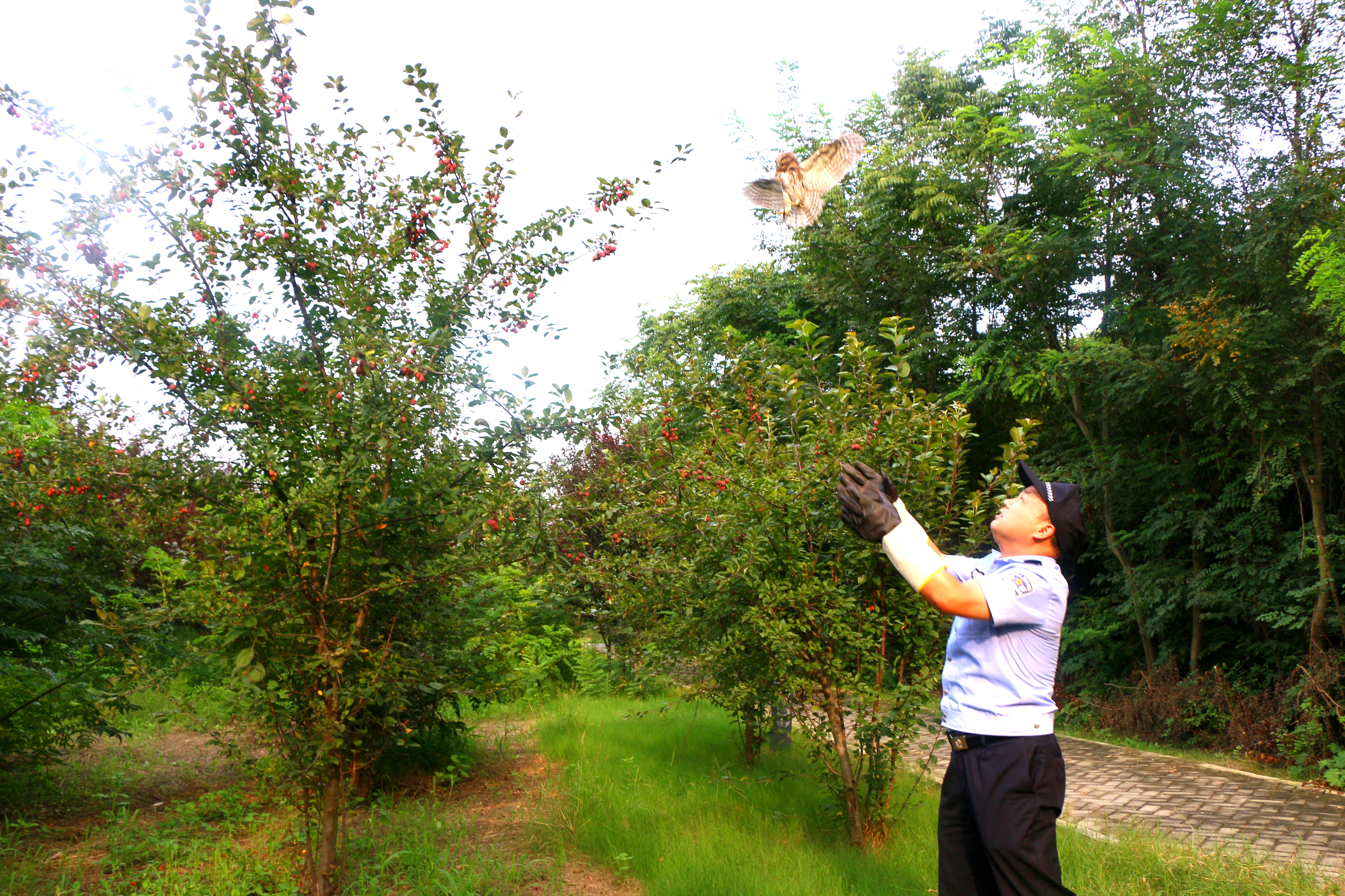 动物|“萌宝宝”闯入舞阳县公安局，竟是国家二级保护动物!