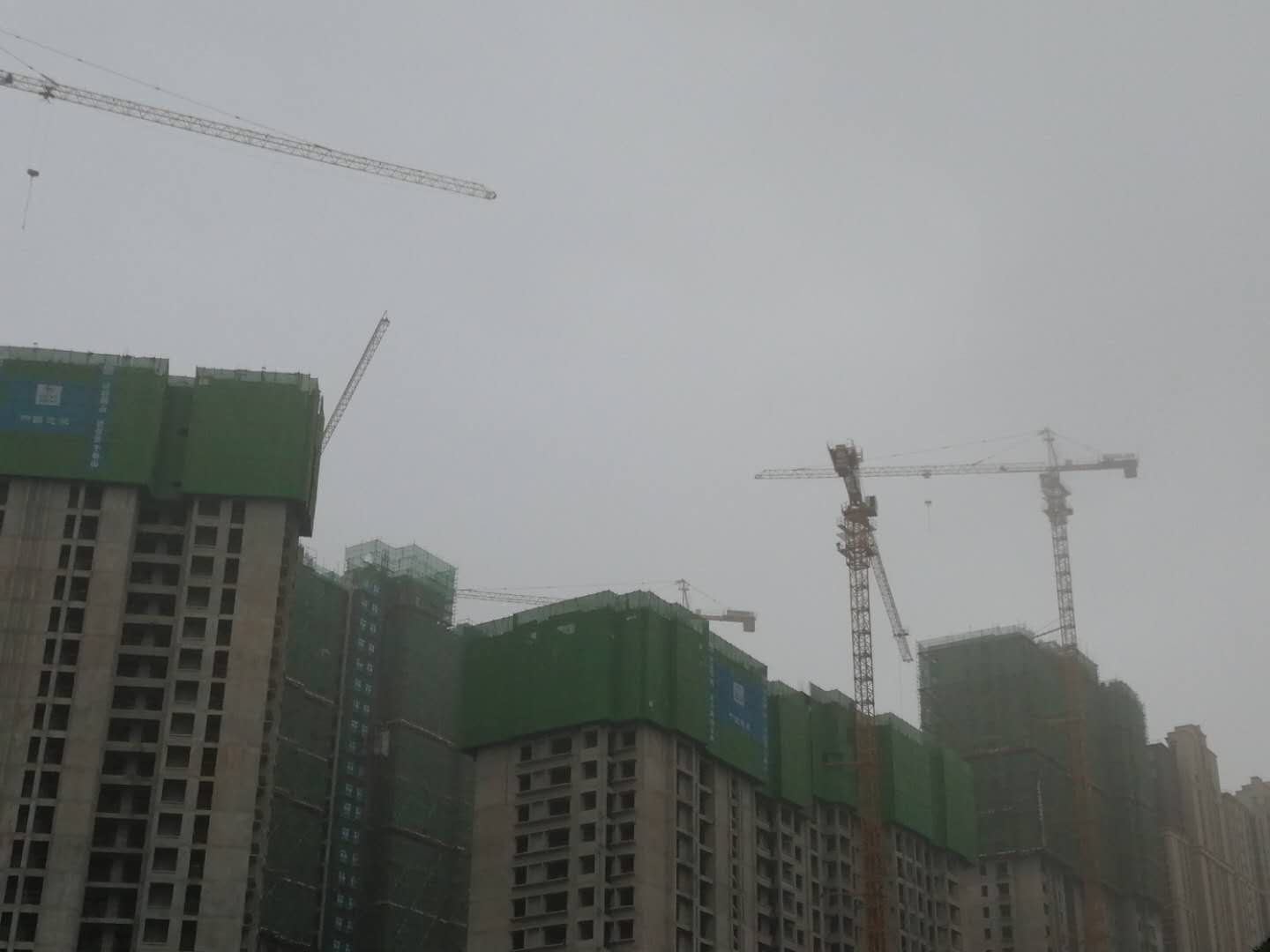 天气|河南本周后半段被降雨承包？ 先熬过前两天的闷蒸天气再说