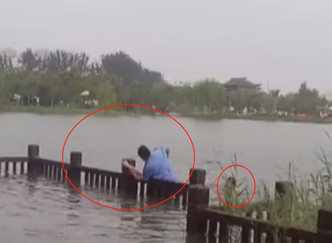 社会万象|女子跳湖丈夫施救两人双双遇险，睢县民警连救两人