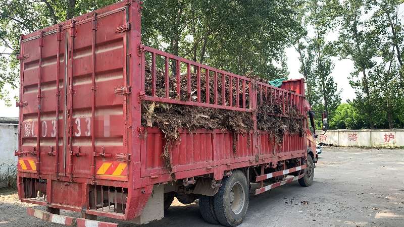 大货车前后车牌不一致?舞阳交警一查，司机还有问题!