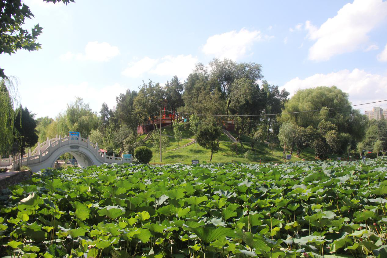 "50岁"的漯河市人民公园"逆生长",重焕青春活力