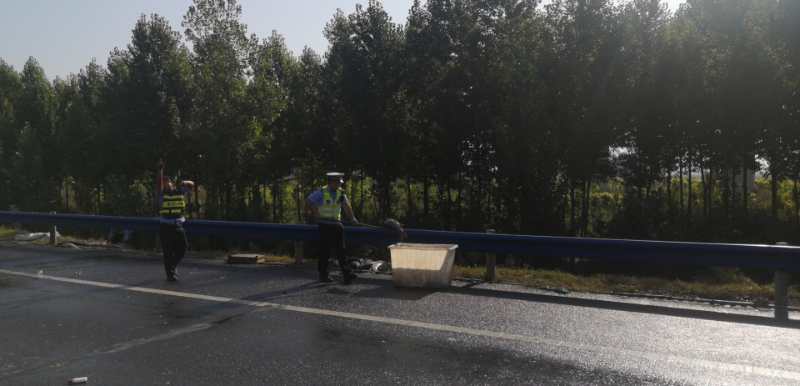 |3000斤鱼，撒在高速上！