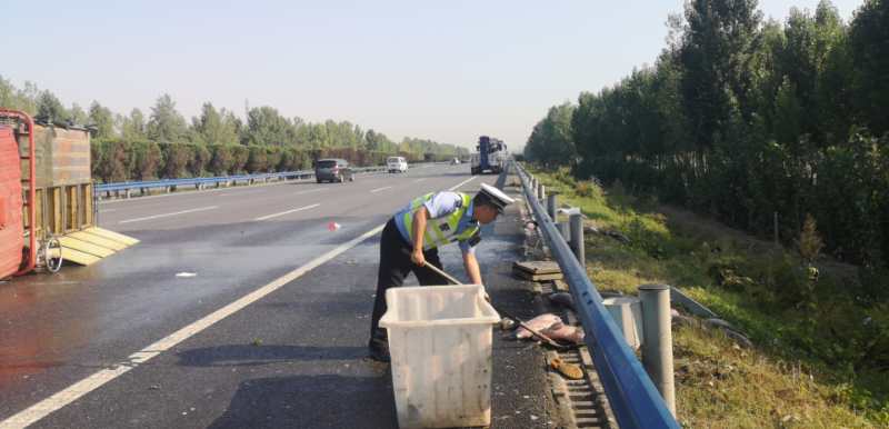 |3000斤鱼，撒在高速上！