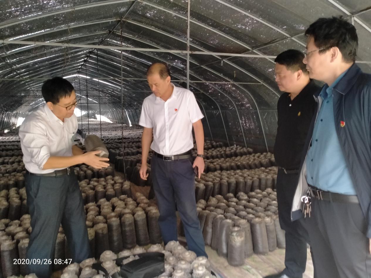 报·大河客户端 大河报·大河客户端记者刘广超通讯员卫永强赵学军 为