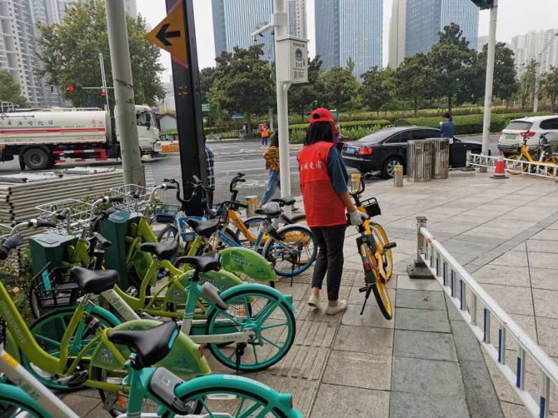 郑州生活|金鸡翱翔郑州城，伉俪牵手护百花