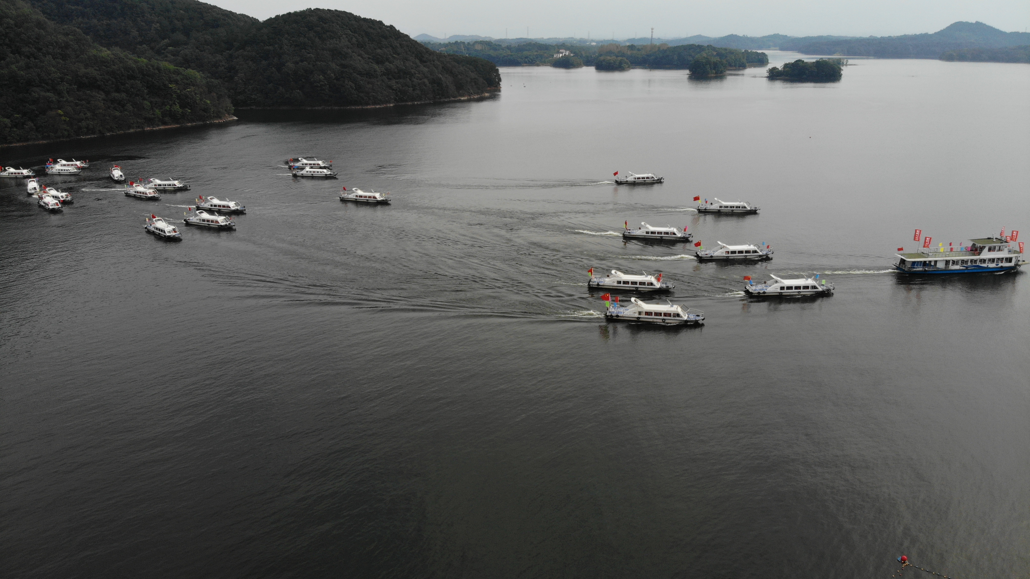 鲜鱼汤|一条头鱼拍了106万元！中国南湾湖第八届开渔节震撼启幕