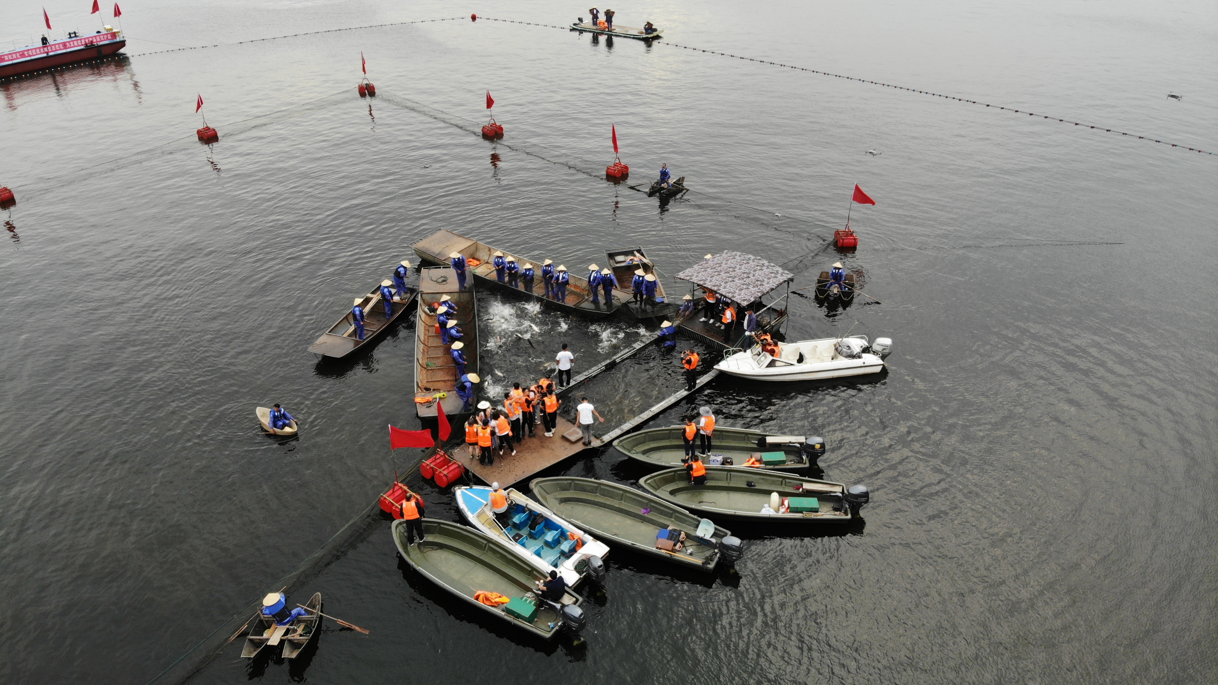 鲜鱼汤|一条头鱼拍了106万元！中国南湾湖第八届开渔节震撼启幕