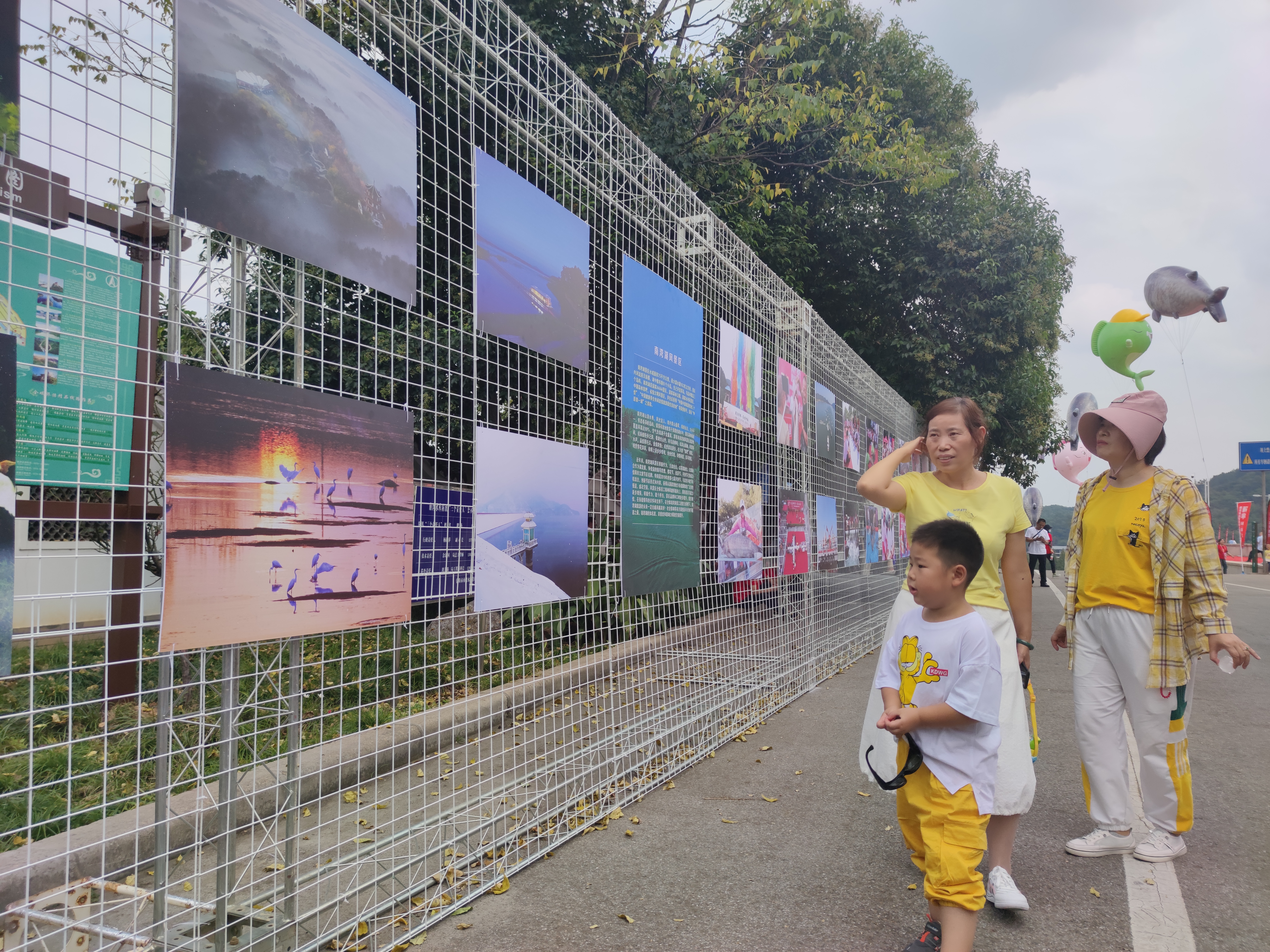 鲜鱼汤|一条头鱼拍了106万元！中国南湾湖第八届开渔节震撼启幕