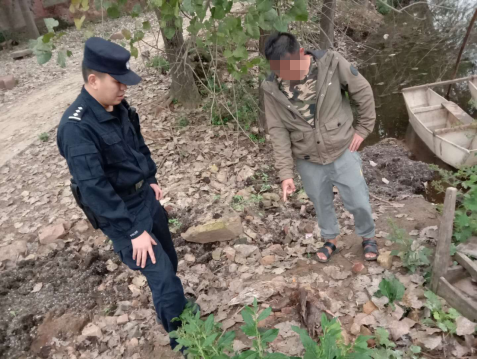 |都是鸭子惹的“祸”