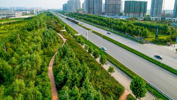 郑州成功创建国家生态园林城市，这些单位和个人获表彰