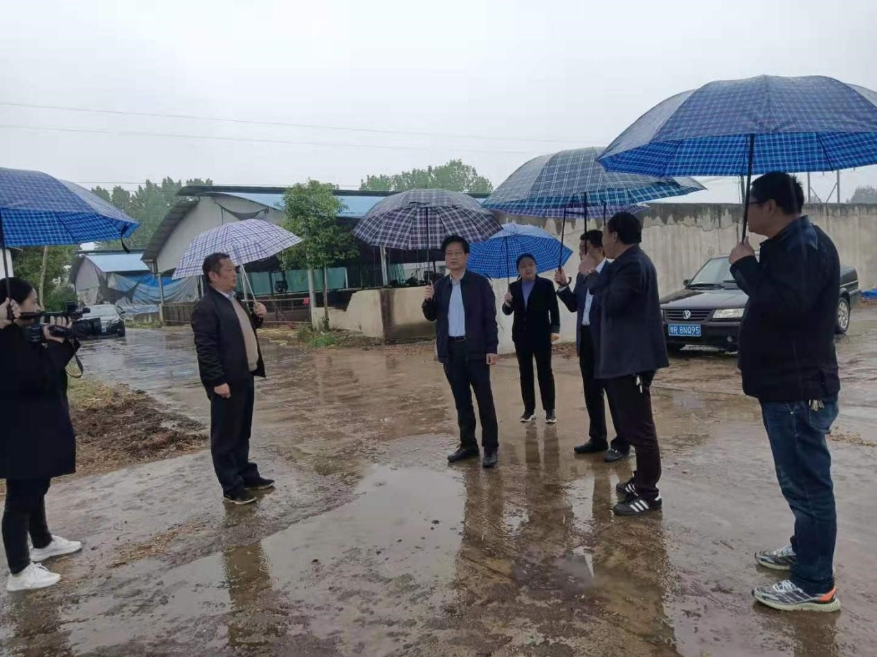 南阳宛城区委书记刘中青到高庙镇调研指导环保等工作