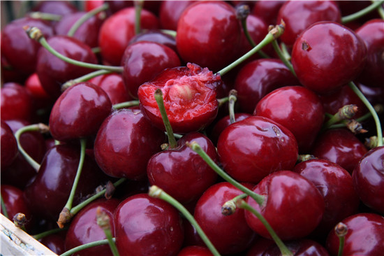 第十三届义马市大樱桃文化艺术活动开幕签约经济合作项目16个