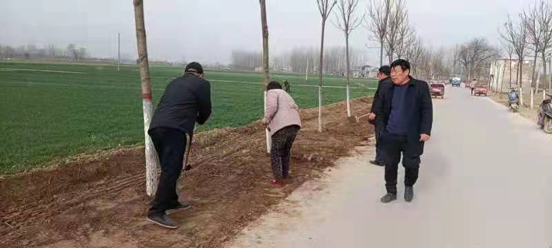 植树正当时杞县傅集镇多措并举扎实做好春季植树造林工作