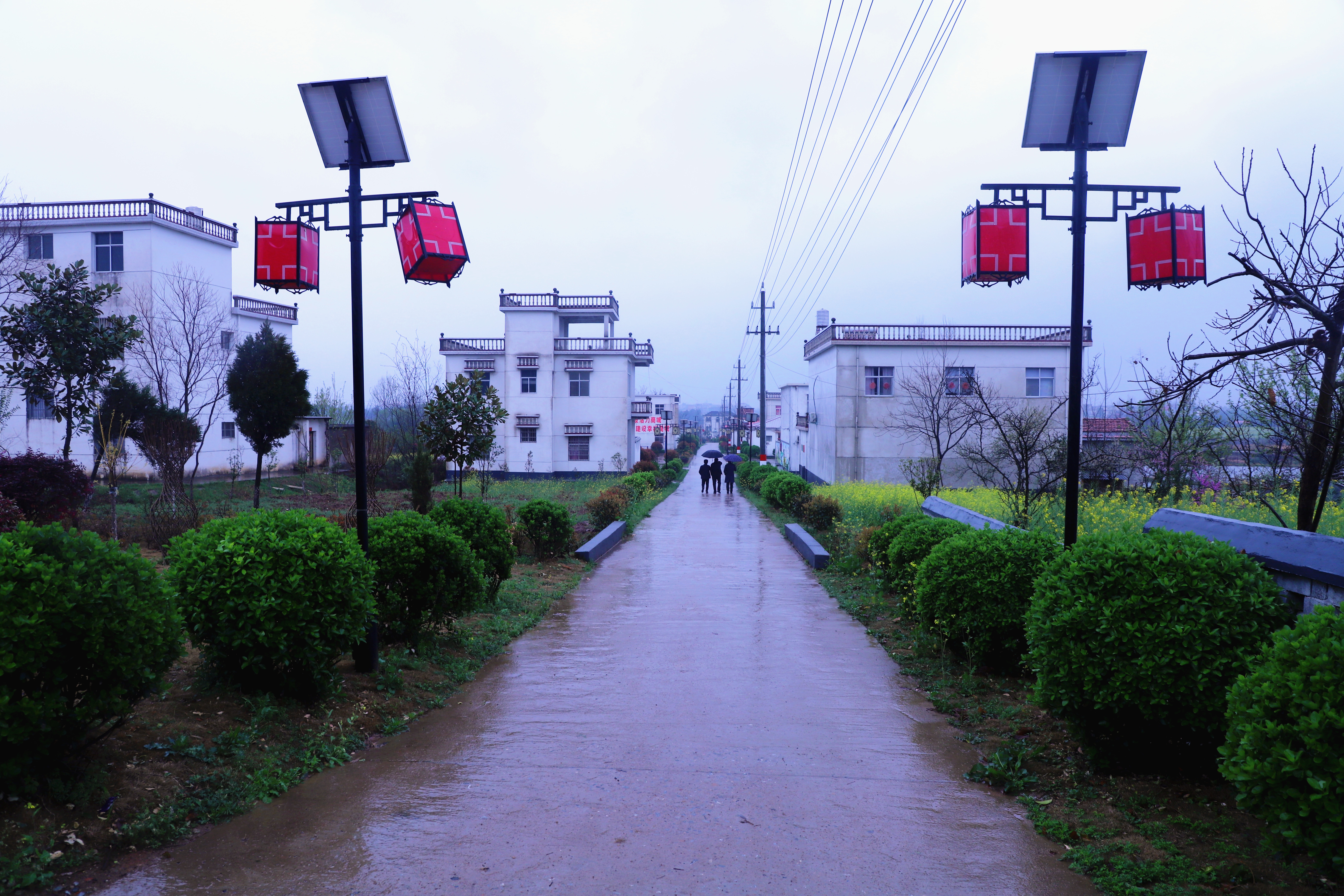 商城县鄢岗镇干部领着干乡村面貌变