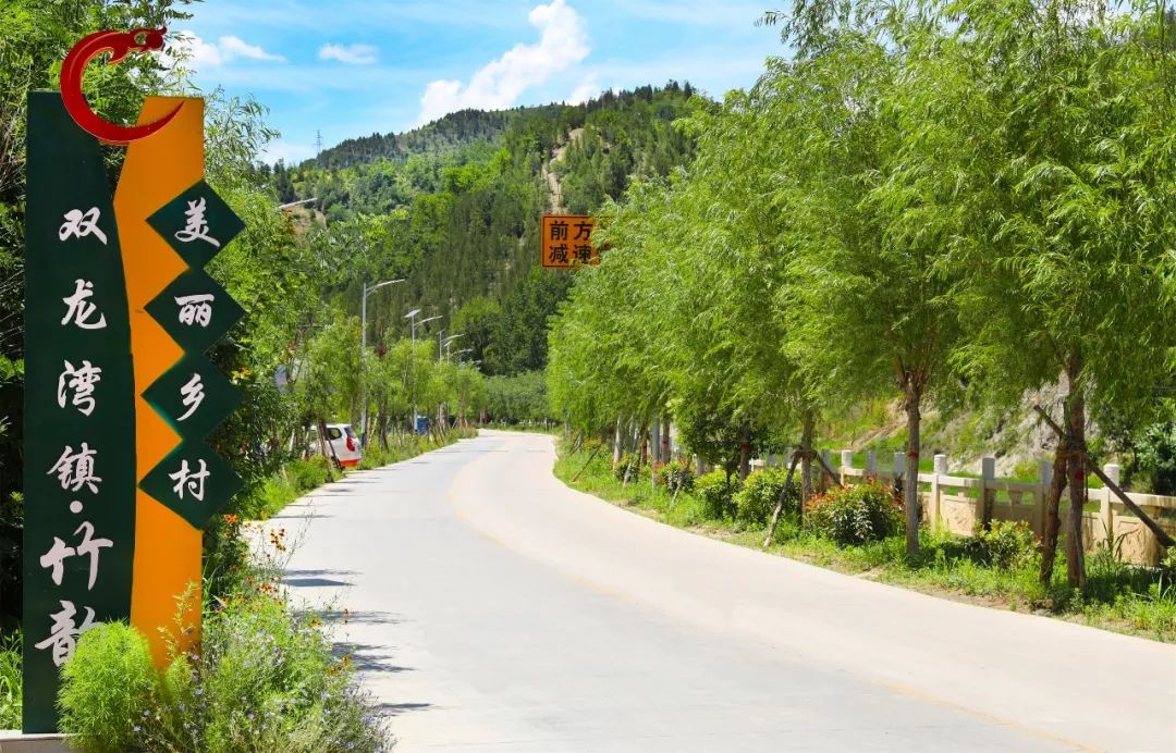 卢氏县双龙湾镇:"美丽公路"助推美丽乡村建设-大河网