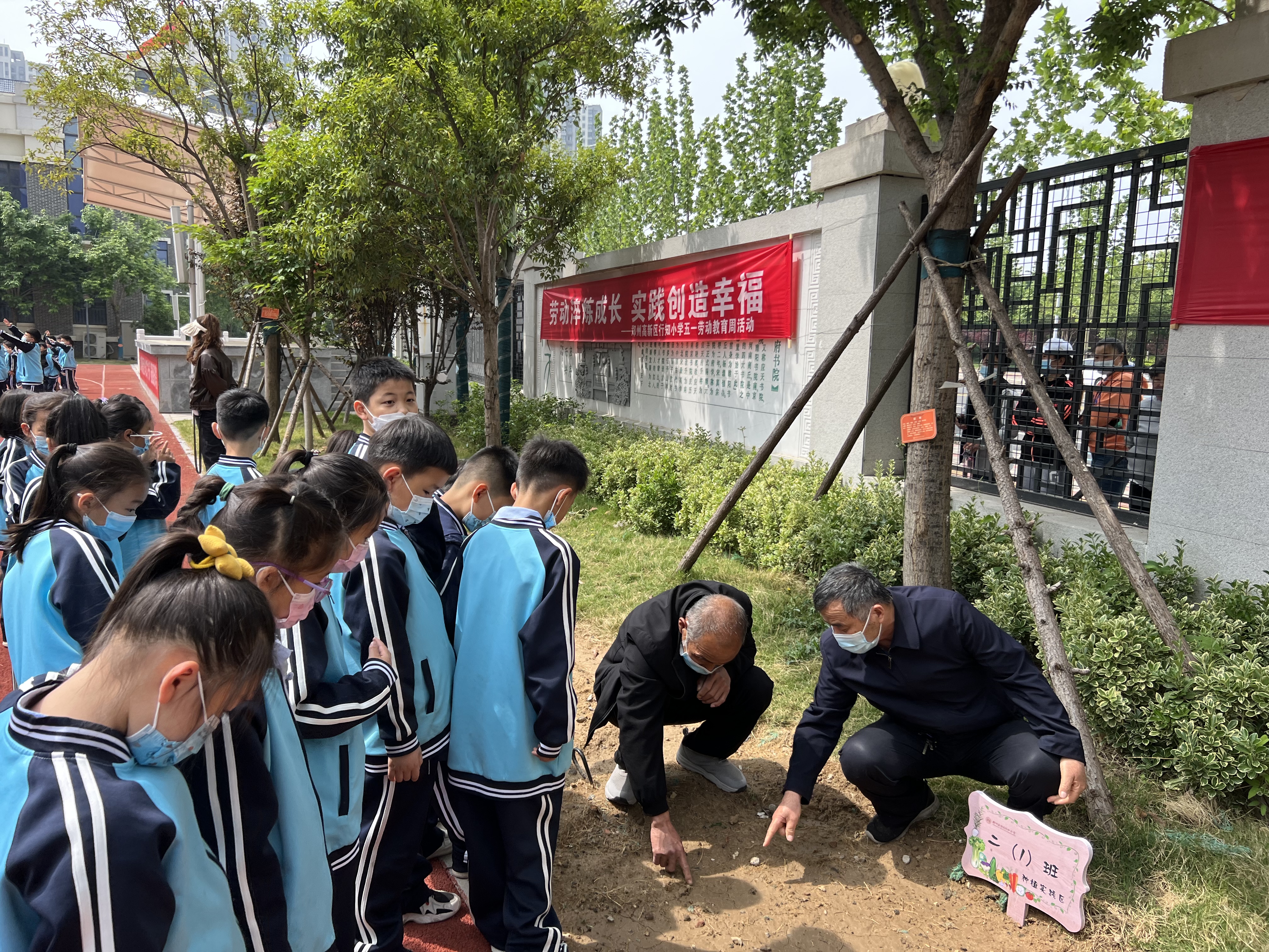 郑州高新区行知小学:劳动淬炼成长，实践创造幸福