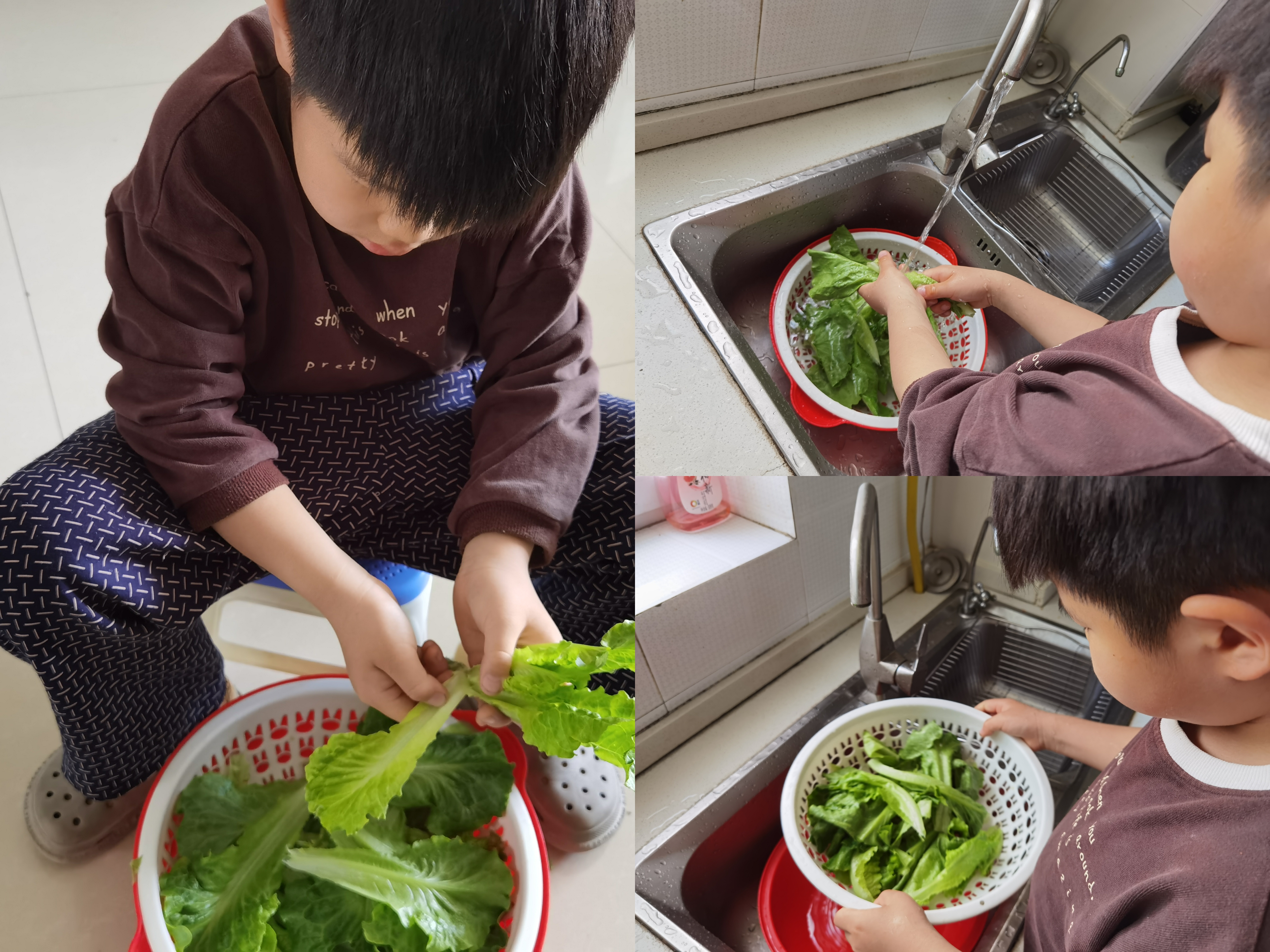 在大人的指導下,孩子們用勤勞的小手,幫助爸爸媽媽擇菜,洗菜