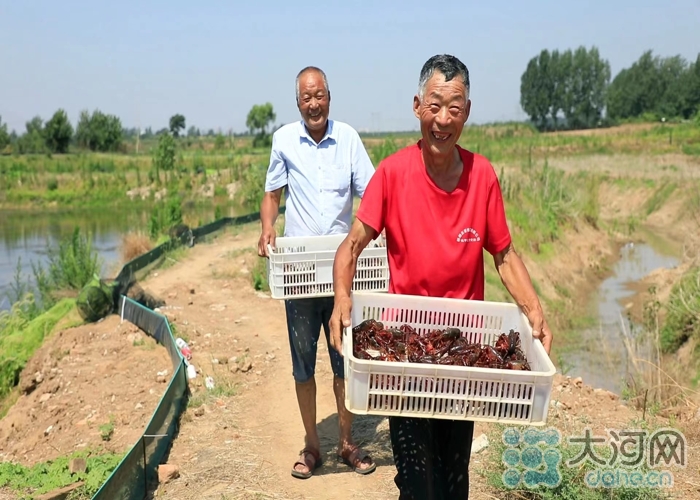 致富经小龙虾_致富经小龙虾养殖视频播放_龙虾致富经