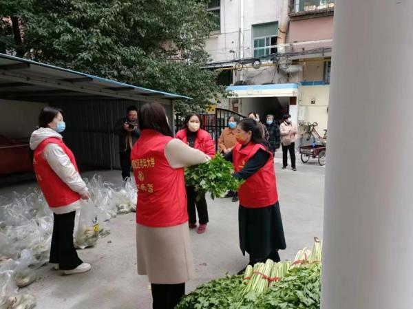 关爱你我他（她）·温暖千万家丨爱心助农！郾城区志愿服务团队为社区捐赠蔬菜3万斤