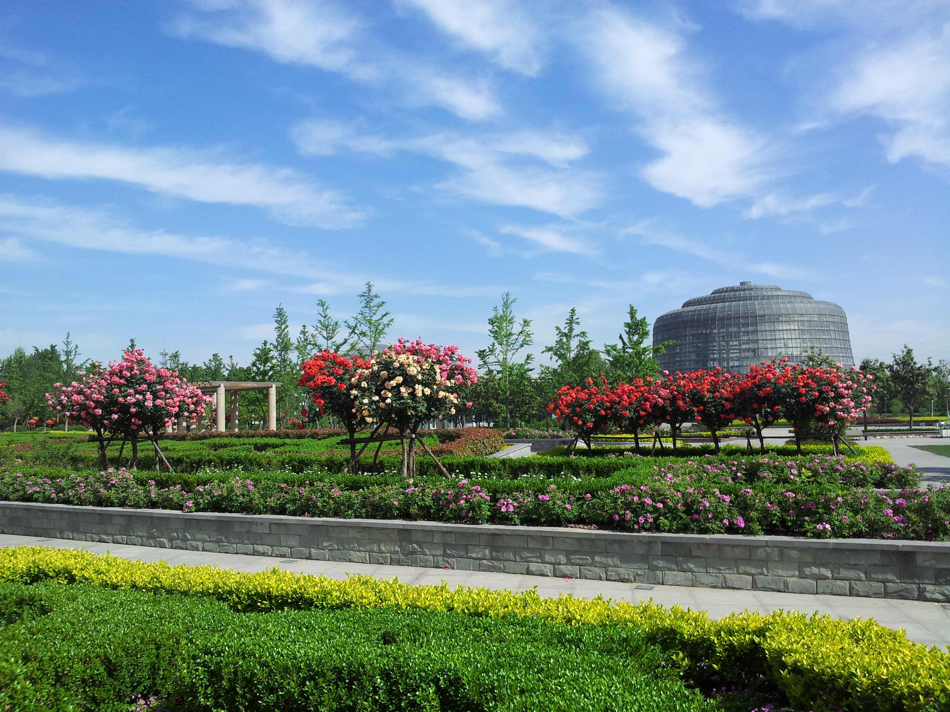 郑州双桥花卉基地图片