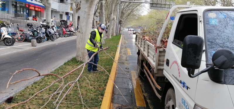 『天气』大风中，郑州绿化管理部门快速抢险应对极端天气