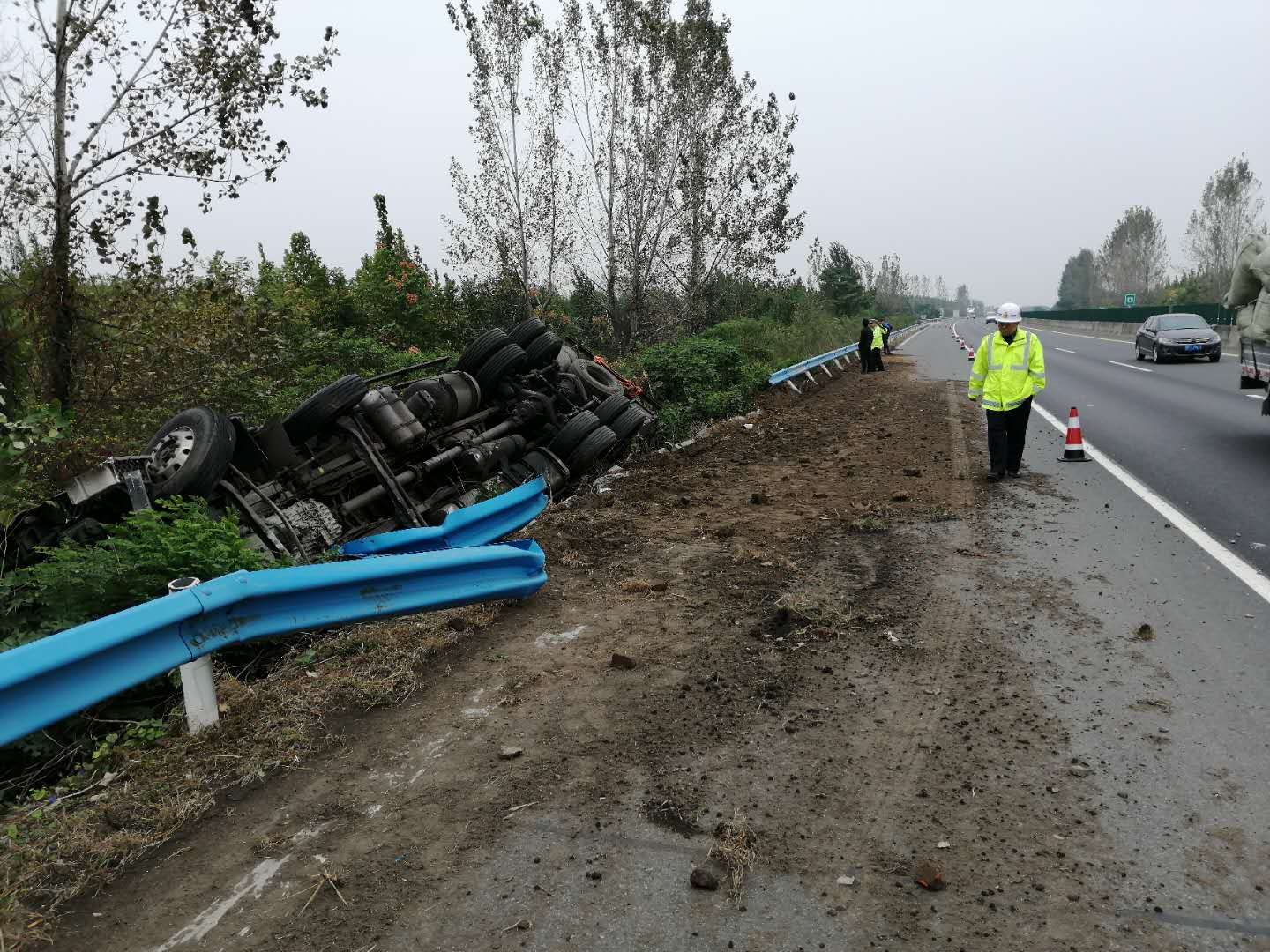 |高速公路上演“猪在囧途” 105头“二师兄”坐完专车坐吊车