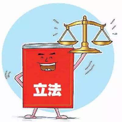 聚焦全国人大丨一年间制定法律9件修改法律47件次