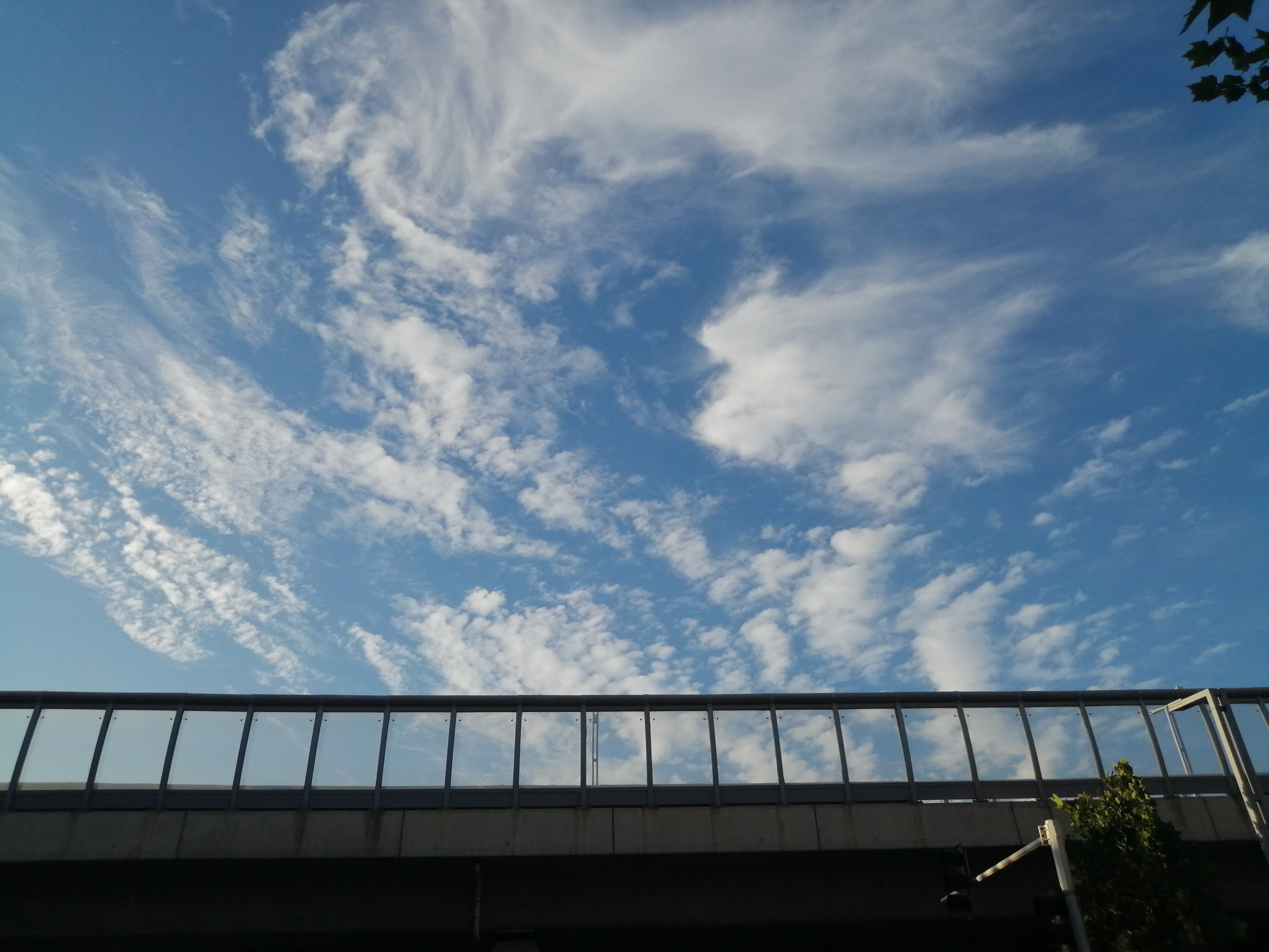 郑州经济|郑州今年的空气质量如何？排名变了！