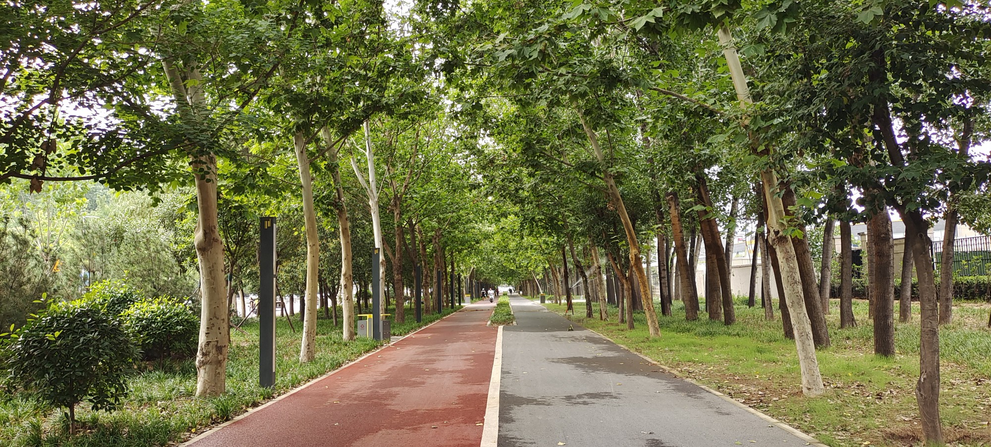 短暂凉意后高温回归主场6月27日至7月1日最高温将达42 手机大河网