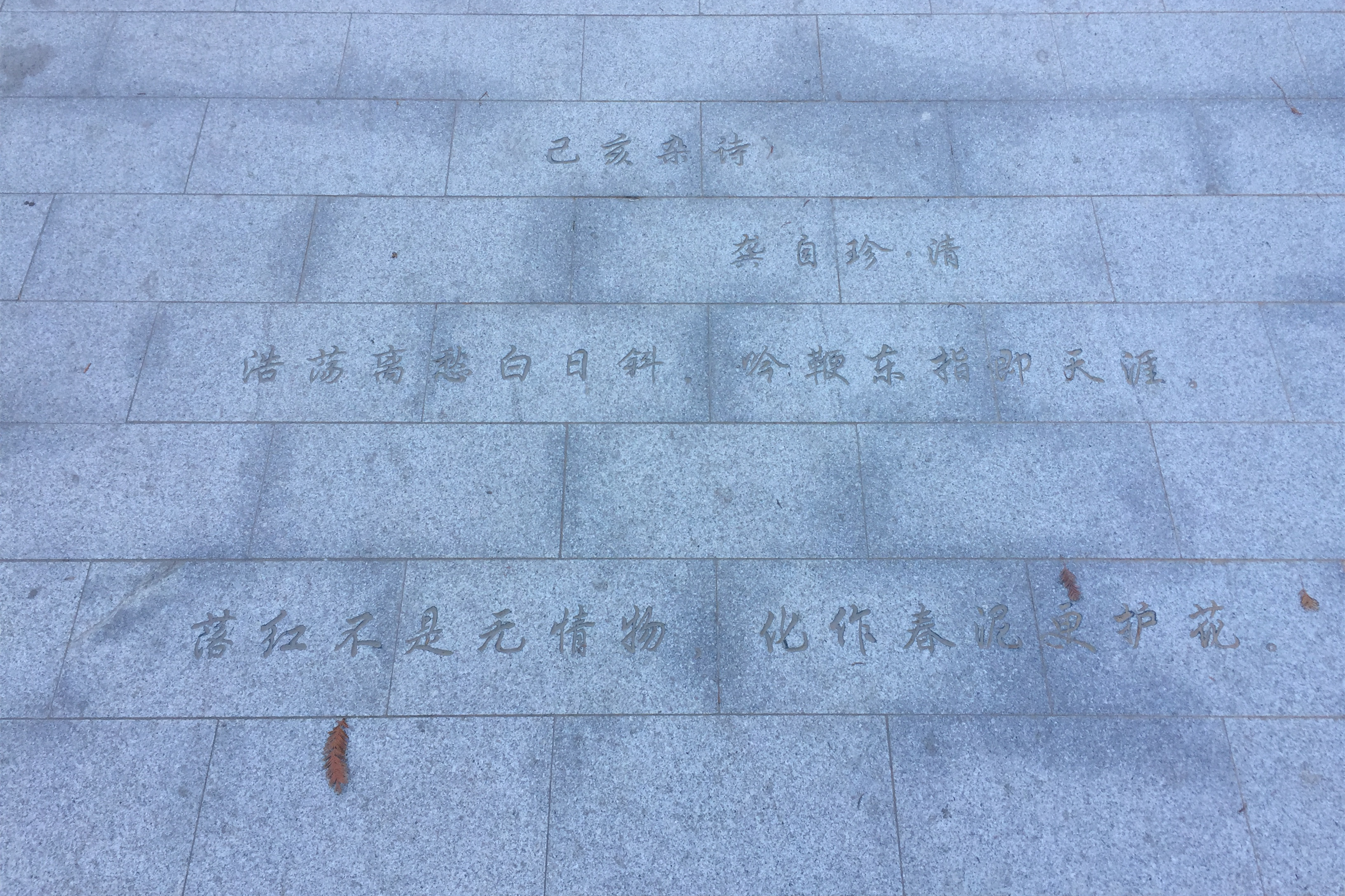 Cache_970b876ee5b62c6