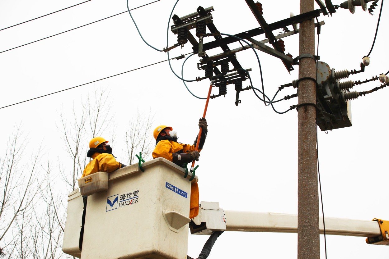 『供电公司』鸟妈供电线上筑巢下蛋？这家供电公司这样办