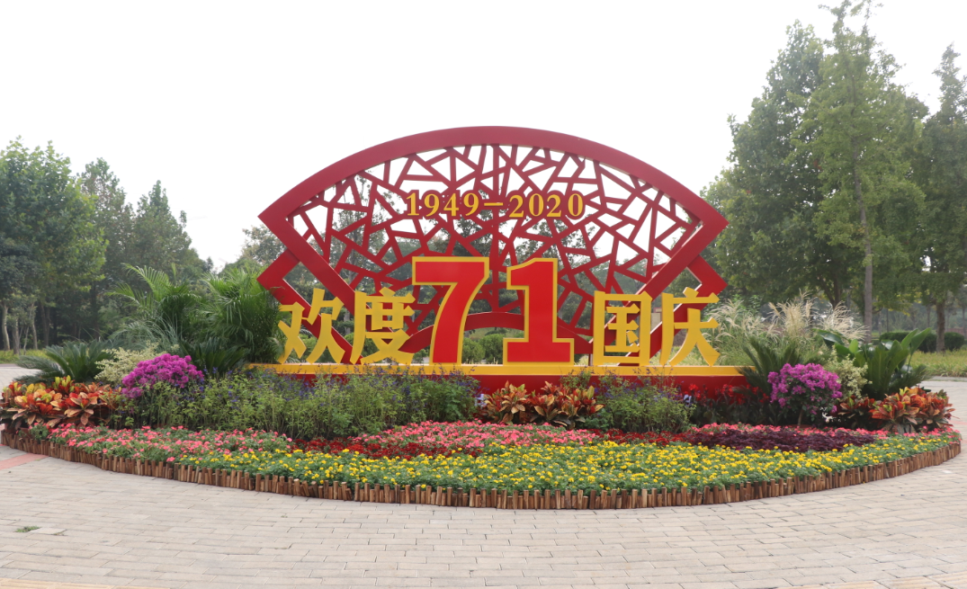 |长得枝繁叶茂 3500棵法桐为啥被断枝?