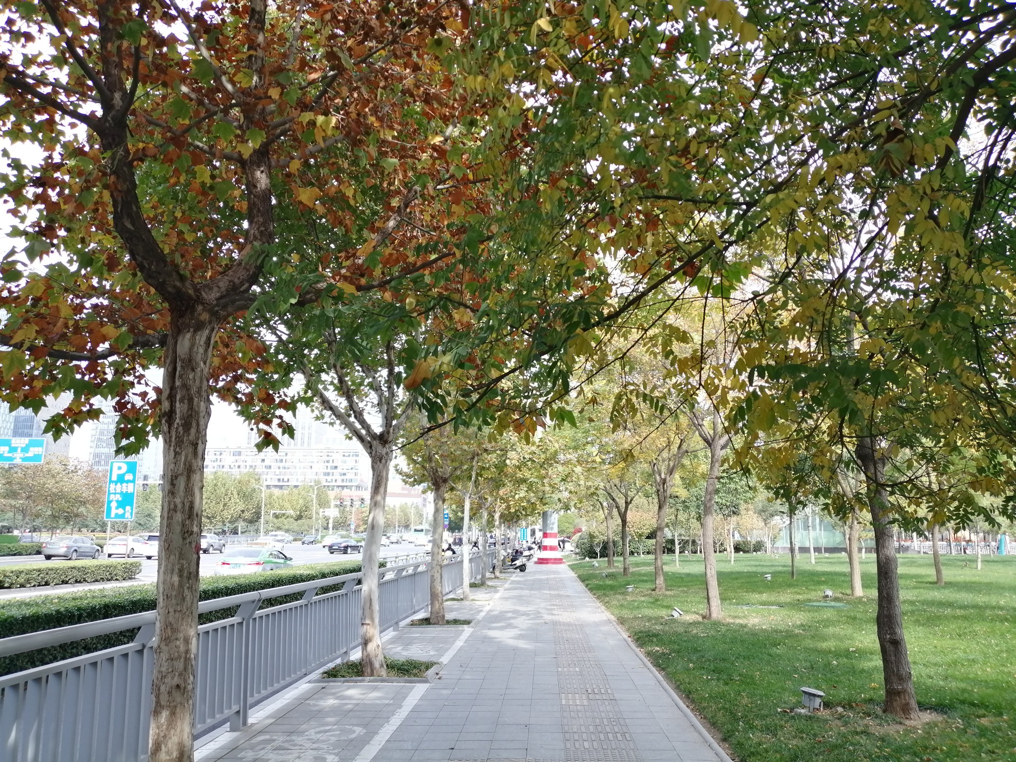 |河南局部地区今明两天有雨 明夜开始冷空气再度来袭