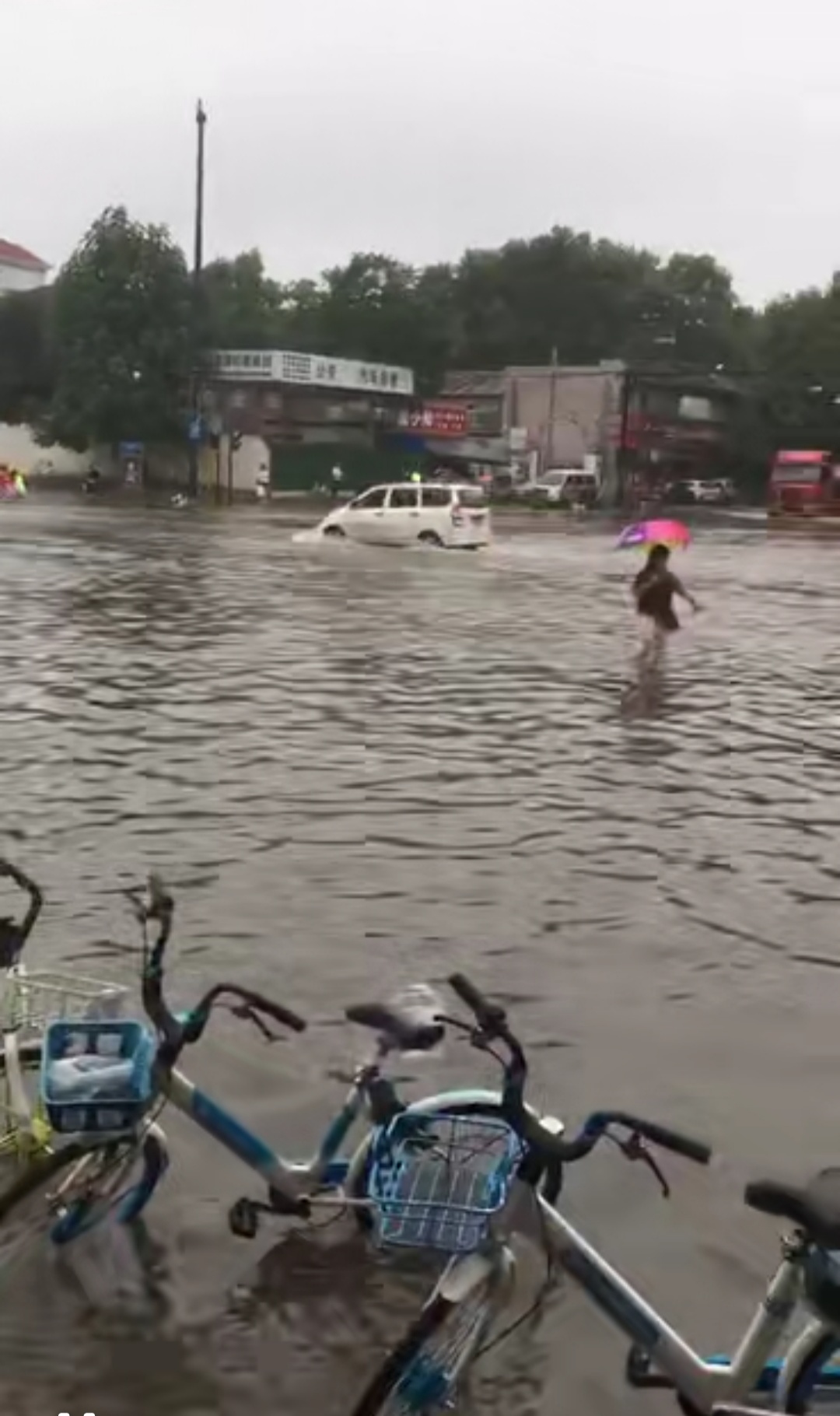 |开封市区遭遇大雨淹城，公交停运、高速关闭