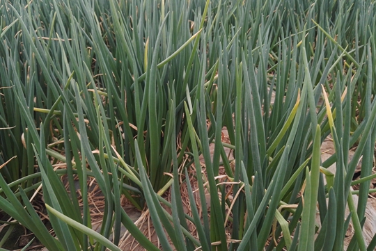 QQ图片20180224091600