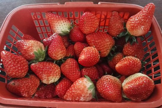 QQ图片20180117214037_副本