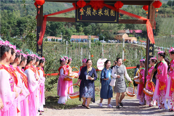 灵宝:喜迎苹果采摘季 欢庆农民丰收节