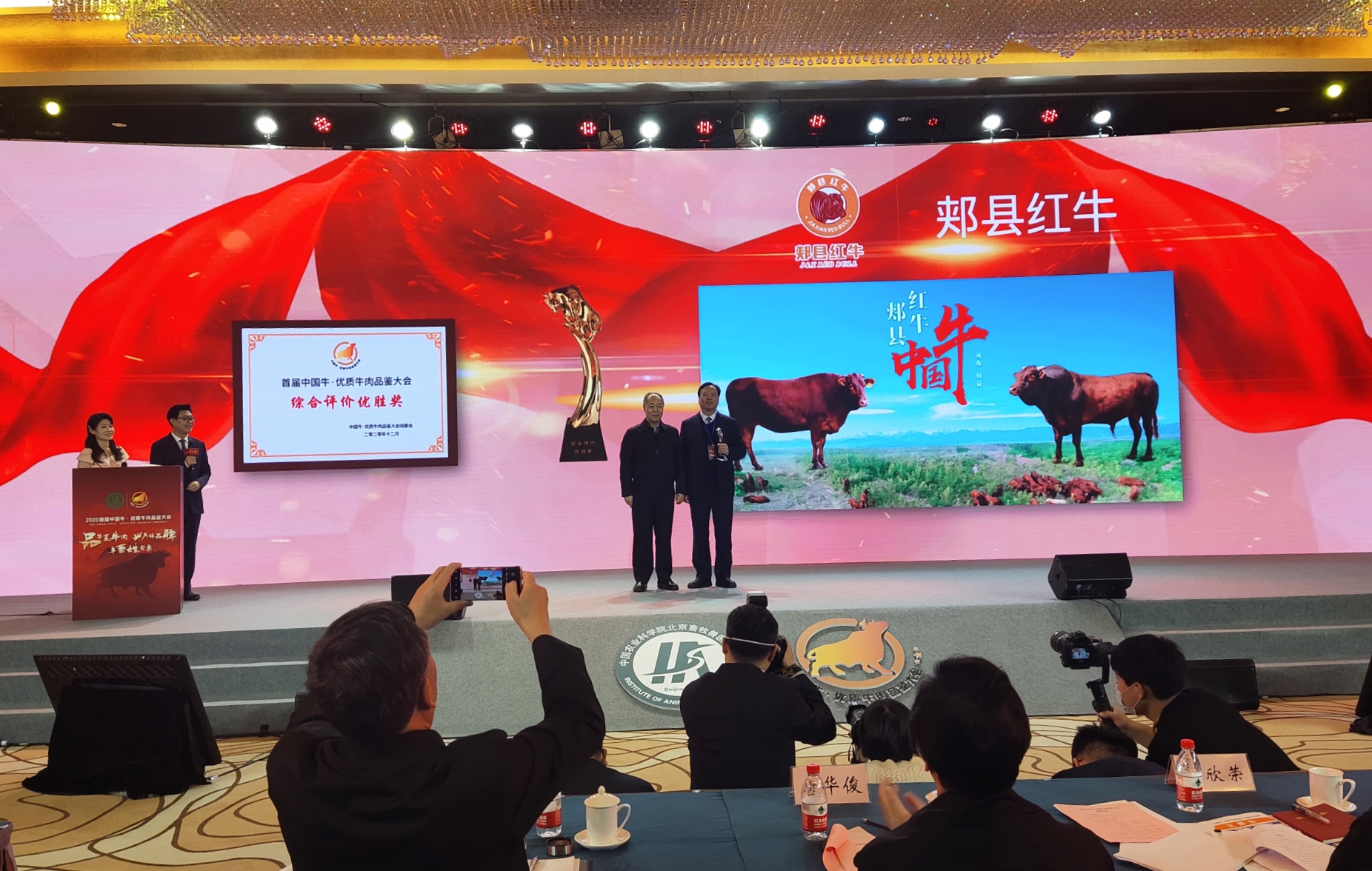 品牌估值1025亿元67郏县红牛获国家级牛肉品鉴会最高奖