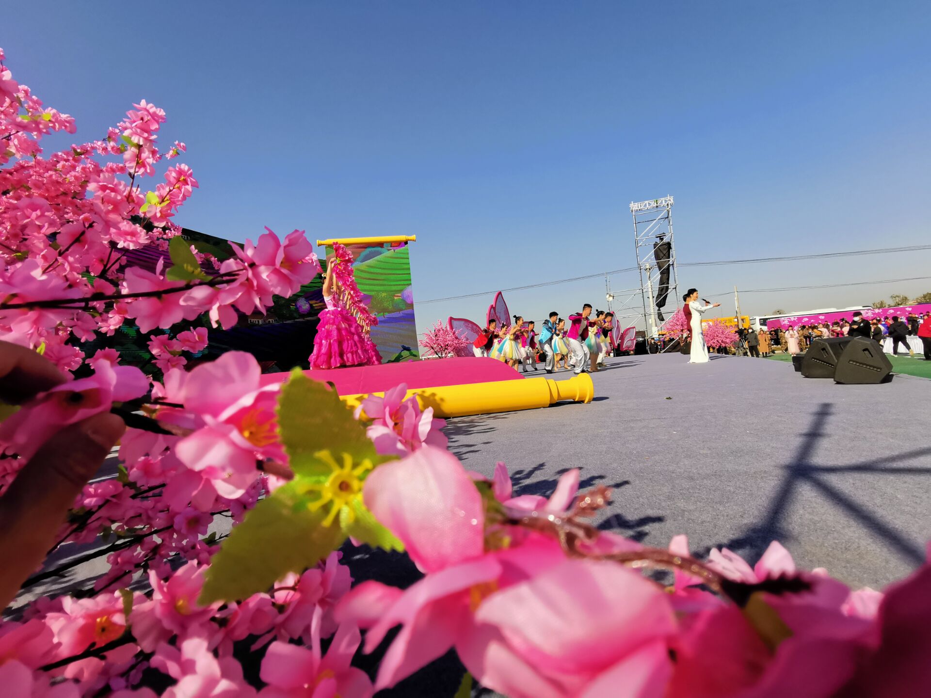 周口西华桃花节盛大开幕万亩桃园成网红打卡地