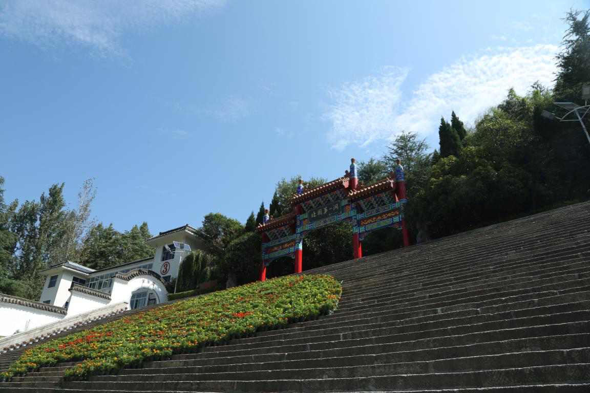 图片4