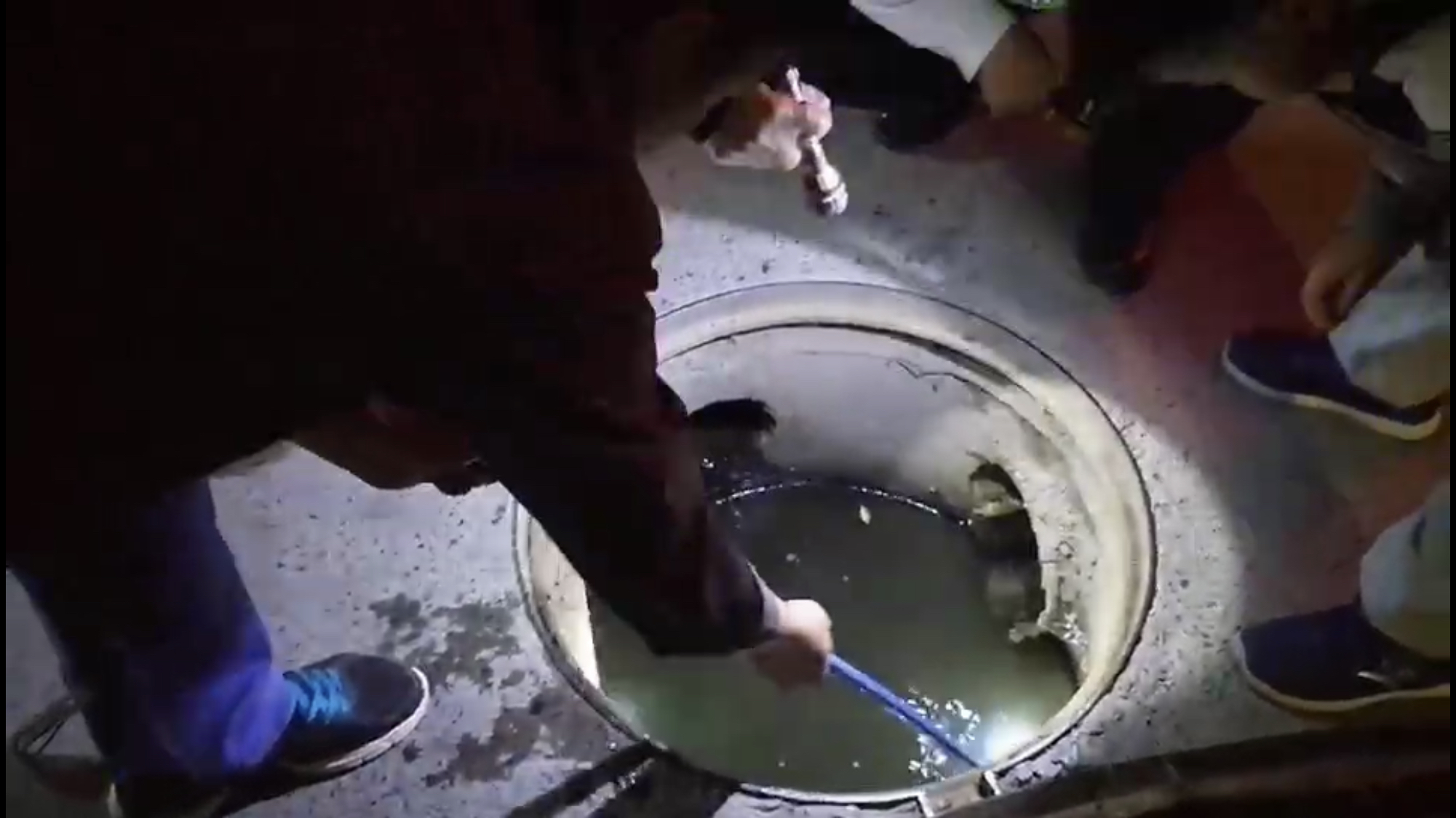 |窨井里咋会有鱼？还有人在黑夜中掀开井盖打捞