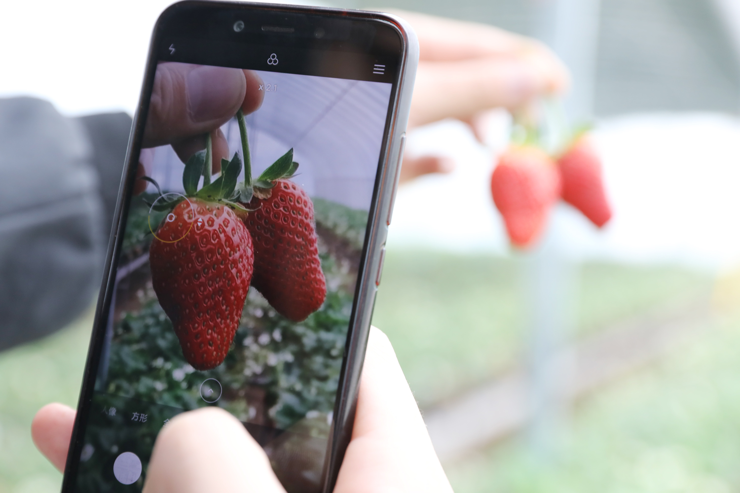 『第一书记』温县牛洼村联名呼吁驻村第一书记留任，看看因为啥